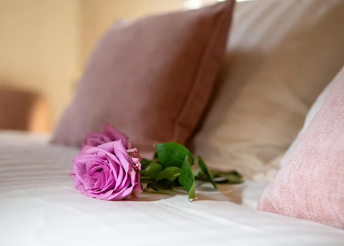 Volto Santo - Sacred * Bologna